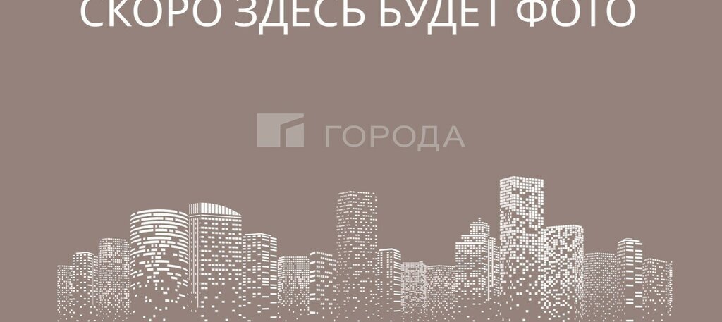 земля г Новосибирск метро Площадь Гарина-Михайловского ул Южная Раздольненский сельсовет, садоводческое товарищество Медик фото 2