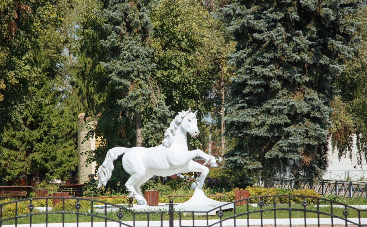 дом г Бронницы ул Народная 23 36 км, Рязанское шоссе фото 22