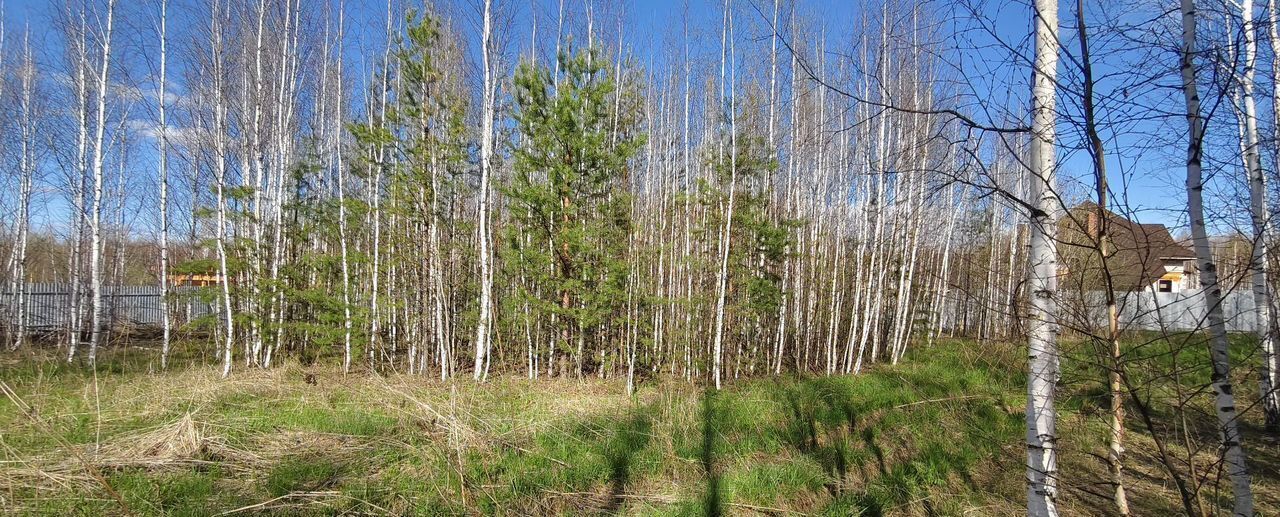 земля г Верхняя Пышма п Залесье Екатеринбург фото 4