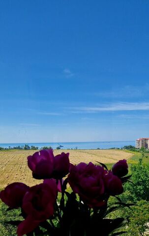 квартира ул Леселидзе 8 фото