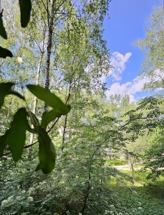 квартира г Раменское ул Коммунистическая 25 Фабричная фото 21