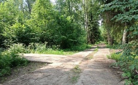 ТиНАО направление Курское (юг) ш Калужское 38 км, Московская область, квартал № 100 фото