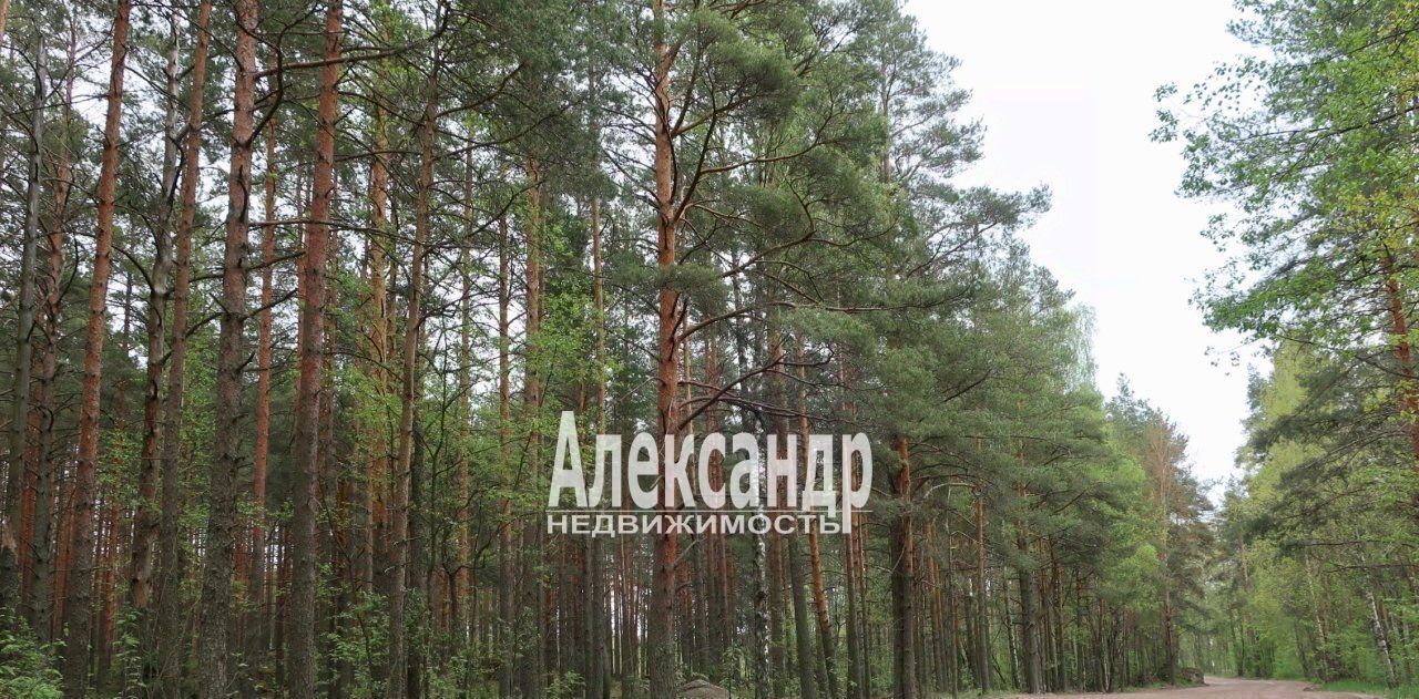 дом р-н Выборгский г Выборг Кировский ул Садоводческая фото 31