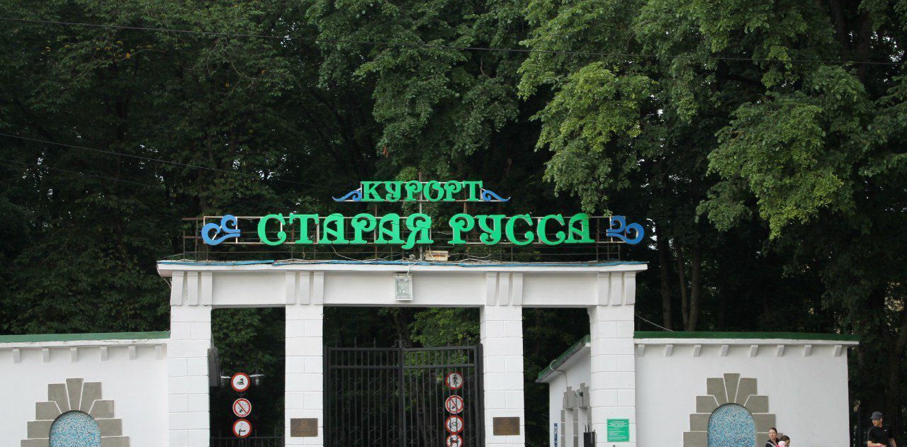 дом р-н Старорусский г Старая Русса ул Сварога 29 фото 1