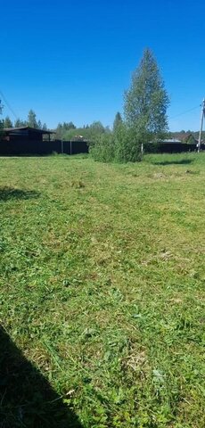 79 км, 4-я ул, г. о. Клин, садовое товарищество Весна, Ленинградское шоссе фото