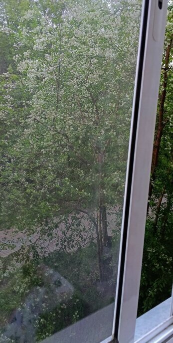 квартира г Сосновоборск ул Ленинского Комсомола 2 фото 18
