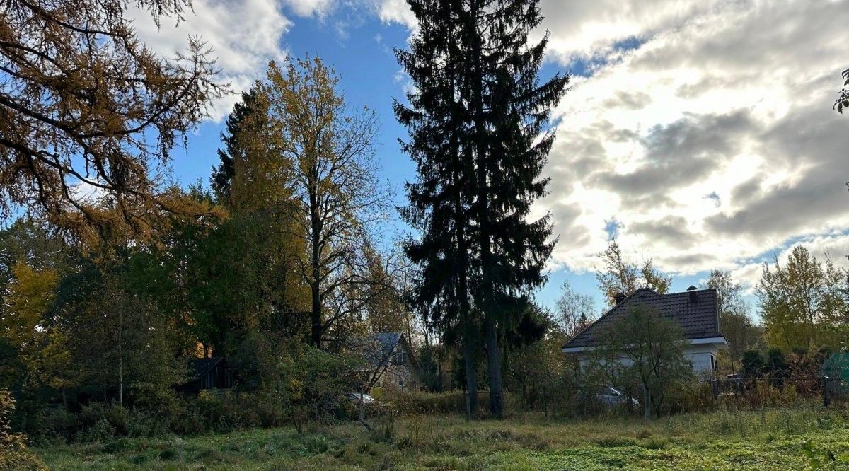земля г Зеленогорск Курортный пер 2-й Загородный 10 фото 8