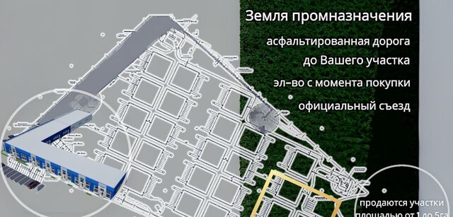 Солнечное с/пос фото