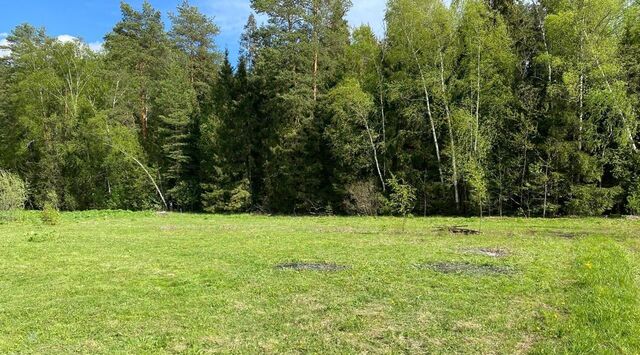 пер Лесной ул Вишнёвая Московская область, Щелково городской округ фото