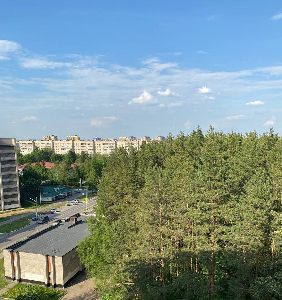 квартира г Дубна ул Энтузиастов 6а фото 30