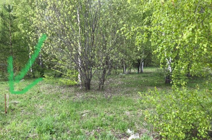 земля г Казань р-н Приволжский ул Центральная жилой массив Салмачи фото 1