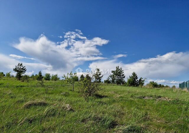 земля р-н Октябрьский сад Октябрьский посёлок Совхоз Заря фото