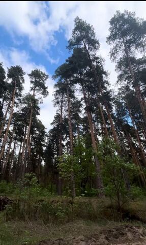 р-н Железнодорожный некоммерческое товарищество Дубрава, 143, садовое фото