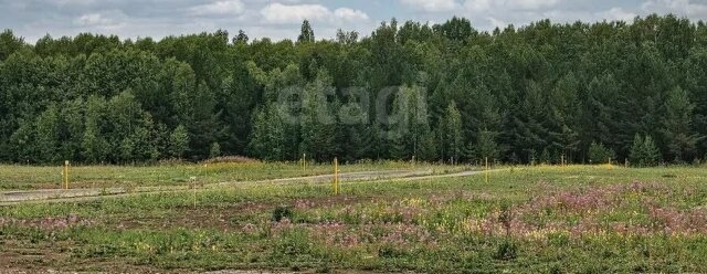р-н Любинский с Любино-Малороссы ул Восточная фото