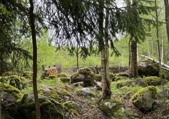 земля п Красная Долина Приморское шоссе, 46 км, Полянское сельское поселение, территория Полянская фото