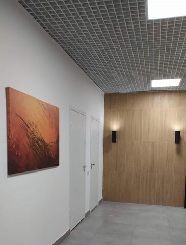микрорайон Зенино ЖК Самолет мкр, ул. Каштановая, 6/2, Некрасовка фото