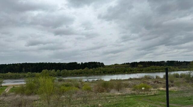 Алексин городской округ фото