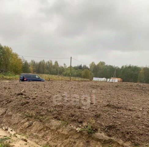д Пухолово ул Петровская Мгинское городское поселение фото