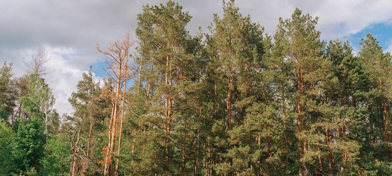 квартира г Казань ЖК Времена года 5д Генерала Ерина фото 2