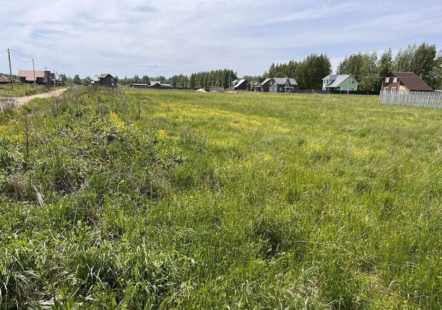 земля д Кузнечиха ул Светлая Кузнечихинский сельский округ, Лесная Поляна фото