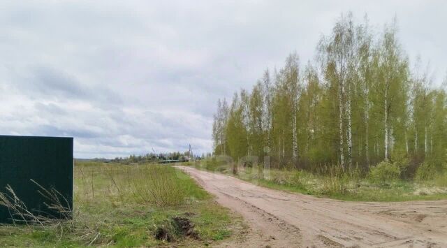 Лесной Ручей кп, ул. Сосновая фото