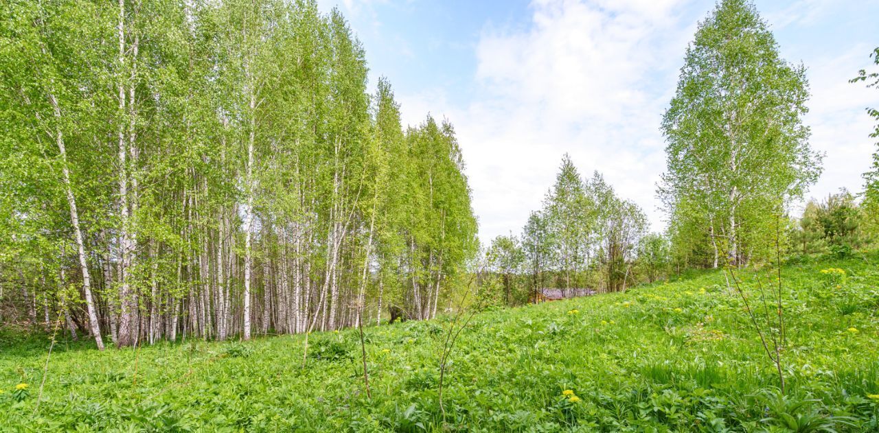 земля г Томск п Родионово р-н Советский фото 1