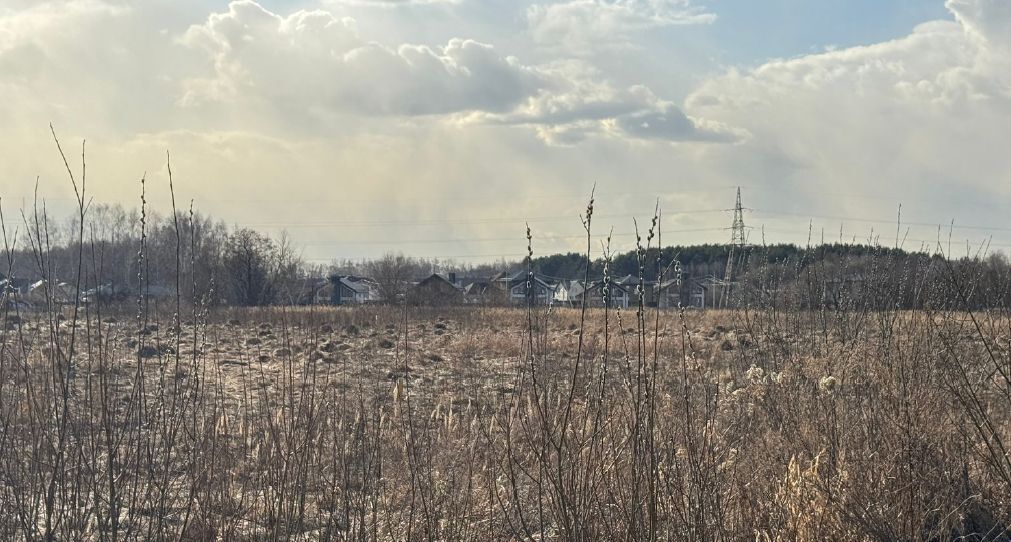 земля городской округ Богородский г Ногинск пос. Жуково фото 1