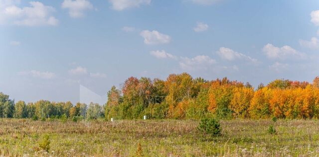 Новокаменский кп фото