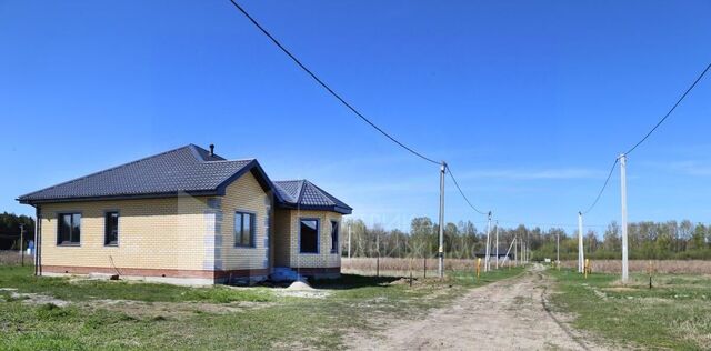 д Решетникова фото