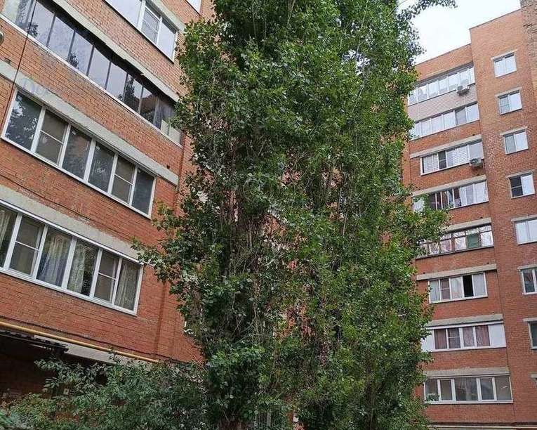 квартира г Воронеж ул Туполева 3б фото 1