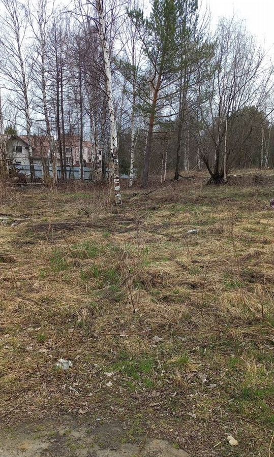 земля г Нягань ул Романтиков Тюменская обл. фото 3