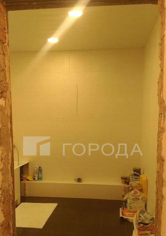 квартира г Новосибирск Плющихинский 29 Татьяны Снежиной фото 4