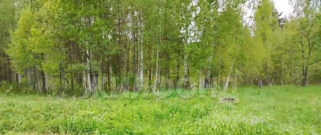 земля д Кисловка Новая Кисловка кп фото