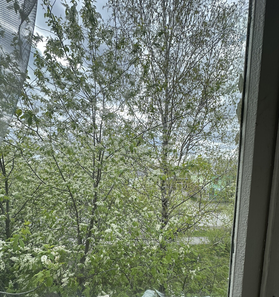 квартира г Серов ул Центральная 12 фото 8