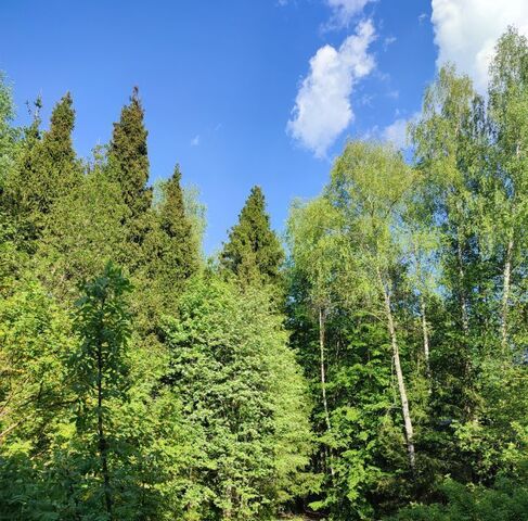городской округ Одинцовский с Жаворонки ул 1-го Мая Крёкшино фото