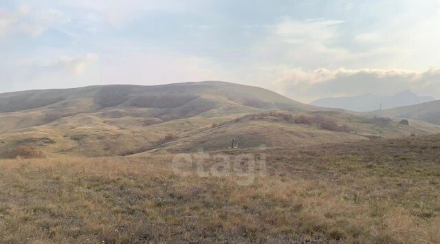 ул Солнечная Кипарис СОТ фото