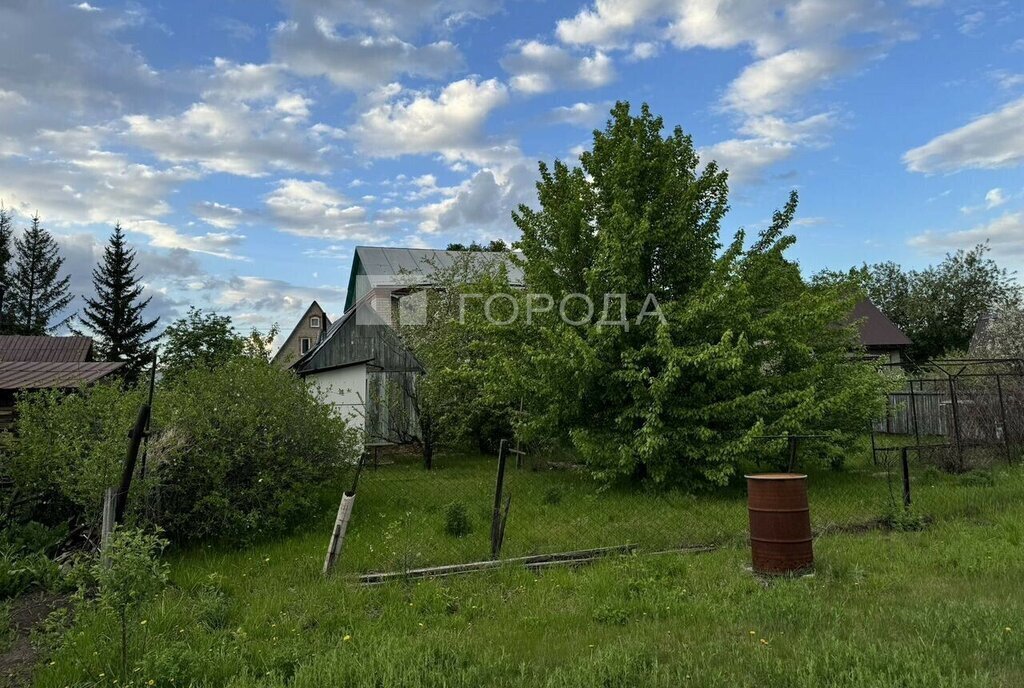 земля г Барнаул снт Флора 3-я улица, 191 фото 19