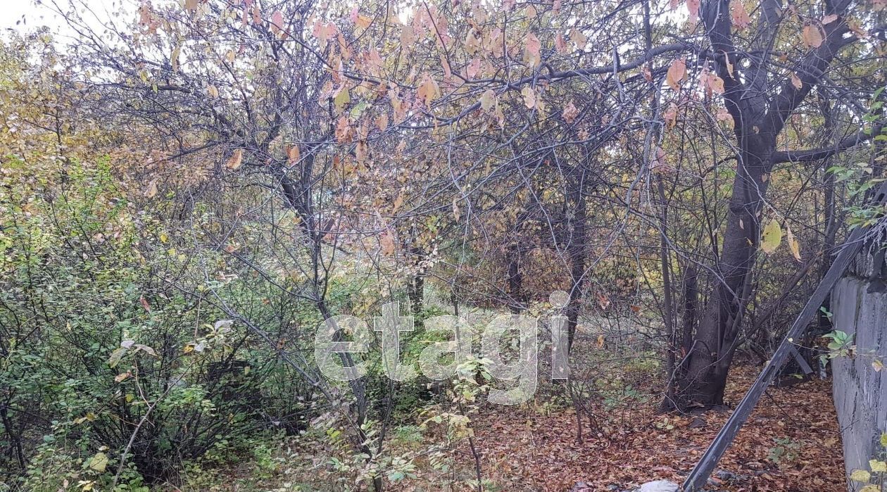 земля г Благовещенск Призейская д_ст, ул. Дачная фото 5