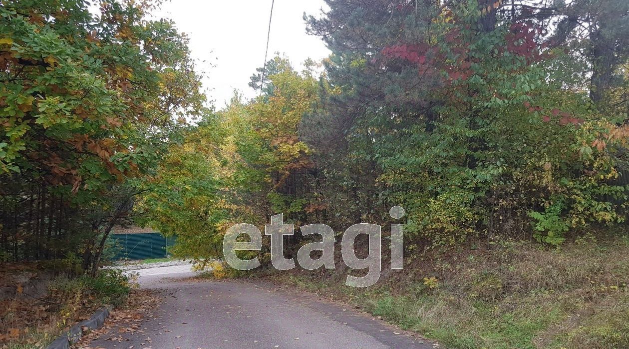 земля г Благовещенск Призейская д_ст, ул. Дачная фото 12
