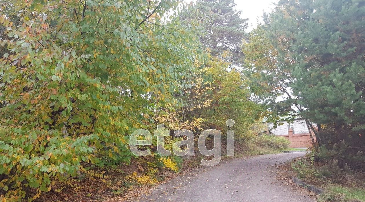 земля г Благовещенск Призейская д_ст, ул. Дачная фото 13