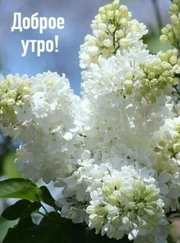 земля ул Ветеринарная 4 фото