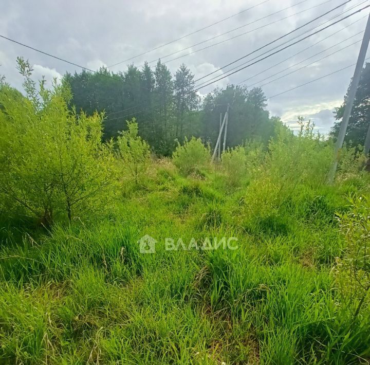 земля г Светлый п Взморье пер Песчаный 5 Светловский городской округ фото 5