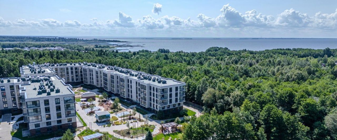 квартира г Сестрорецк ул Инструментальщиков 18 Беговая фото 8