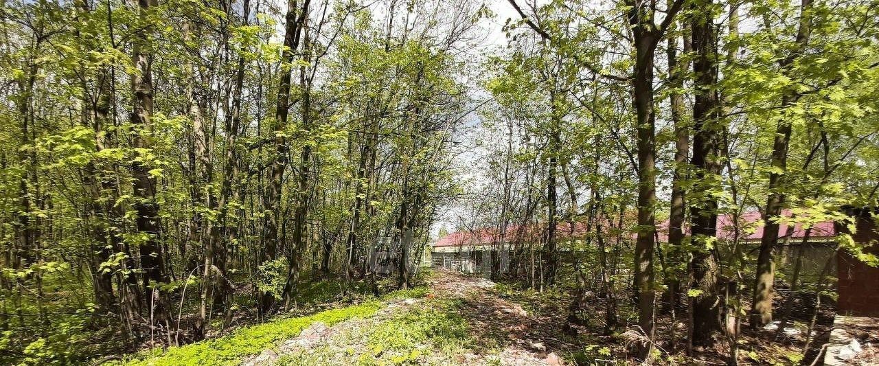 земля г Саранск р-н Пролетарский ул Лодыгина фото 1