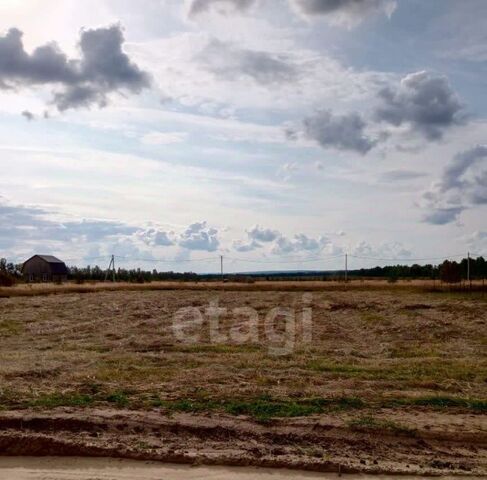 земля с Большие Березники ул Заревская фото