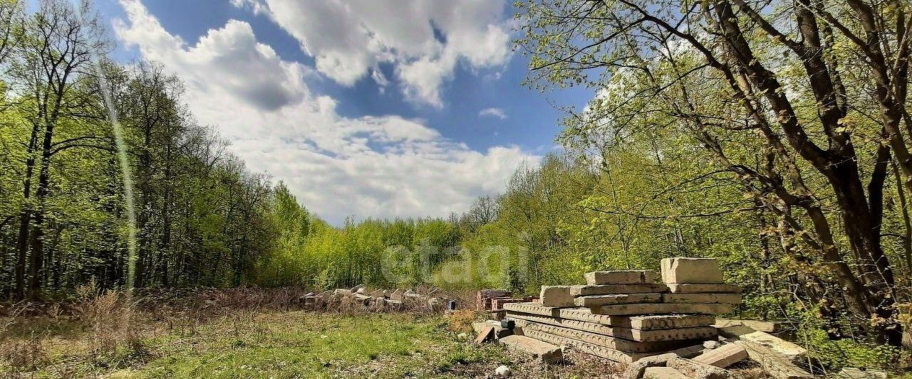 земля г Саранск р-н Пролетарский ул Лодыгина фото 4