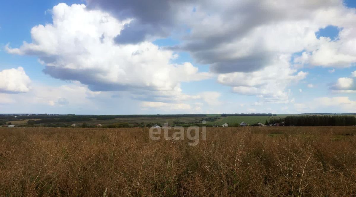 земля г Саранск с Куликовка фото 4
