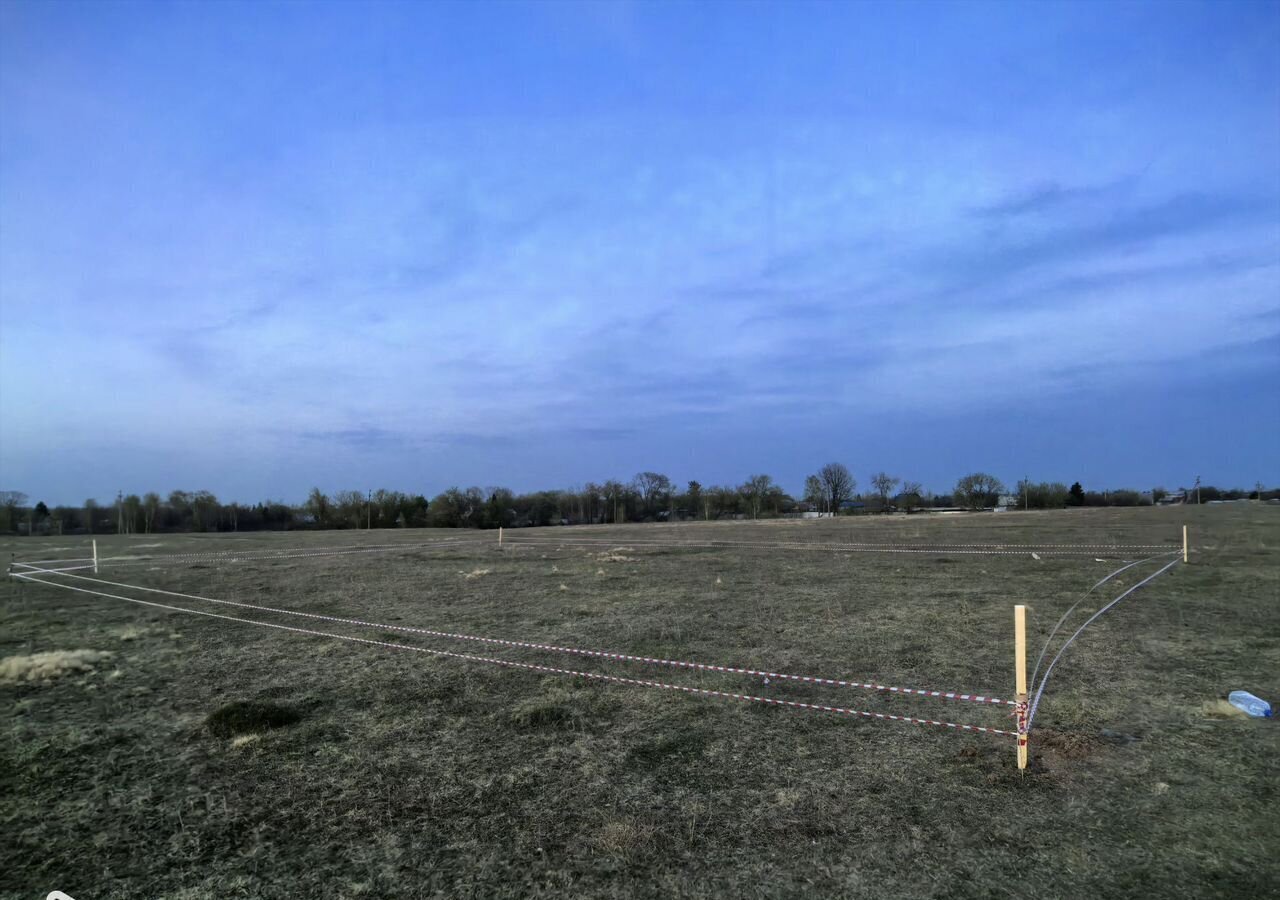 земля г Дзержинск сельский пос. Бабино фото 2