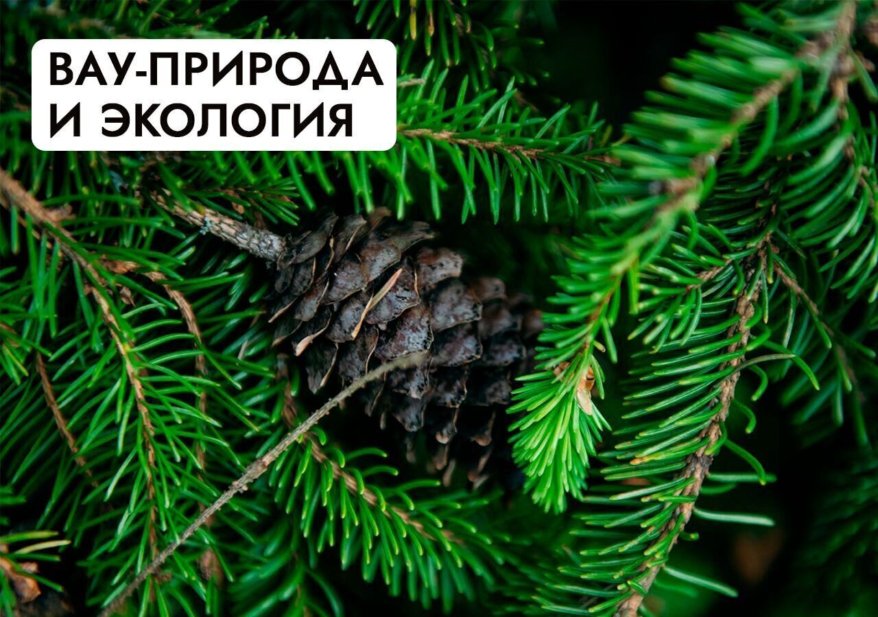 земля г Ступино 60 км, коттеджный пос. Грин Ривер, Михнево, Новокаширское шоссе фото 30
