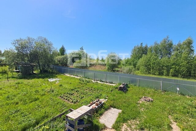 снт Струя-2 фото